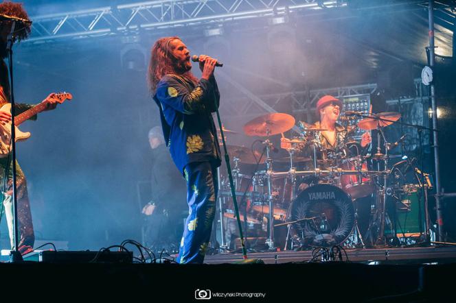 Last Minute Summer Festival 2020. Zobacz zdjęcia z koncertów [GALERIA]