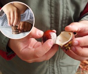 Jak prosta zabawa z kasztanami może zbudować dobre nawyki?