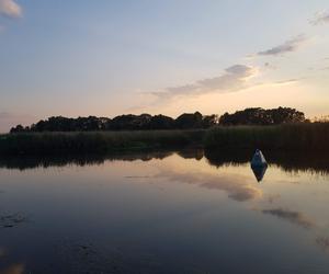 Narwiański Park Narodowy