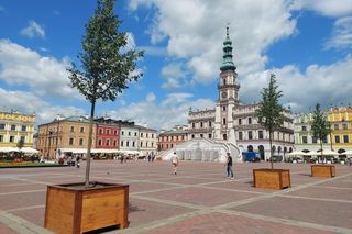 Kilkumetrowe drzewka pojawiły się przed ratuszem. Jest już bardziej zielono [ZDJĘCIA]