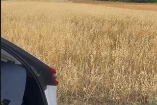 Rolnik Szuka Żony 12 