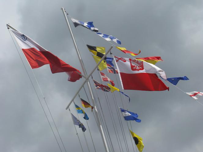 8-flaga i bandera 2015-prasa