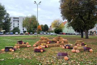 Dyniowa instalacja w centrum Giżycka. Można zrobić sobie jesienną sesję [ZDJĘCIA]