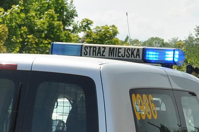 Straż Miejska w Gdańsku rozpoczyna kampanię dla rowerzystów.