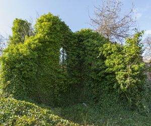 Magiczne miejsce w malutkiej wsi na Warmii i Mazurach. Stoją tam ruiny sprzed 700 lat