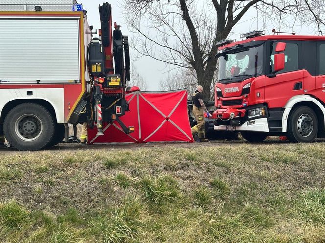 Poważny wypadek pod Warszawą. Malutki peugeot uderzył w drzewo. Nie żyją dwie osoby