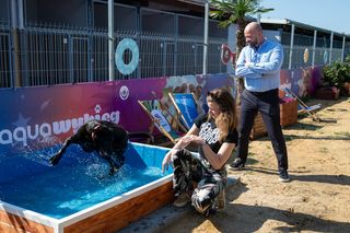 WrocŁapka i Aqua-Wybieg dla psów we Wrocławiu