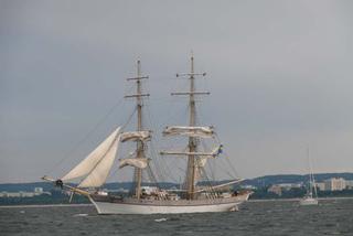 ParadaZagleGdyni2014_FotMZwierz_710160