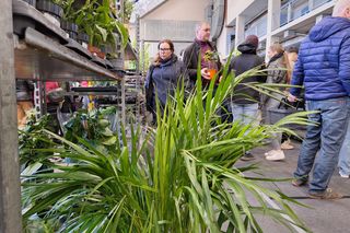 Festiwal Roślin w Rzeszowie 