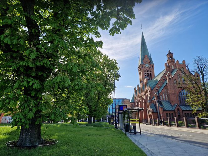 Plac Kościeleckich rozkwita na wiosnę. Bydgoszczanie chętnie wybierają go na spacer