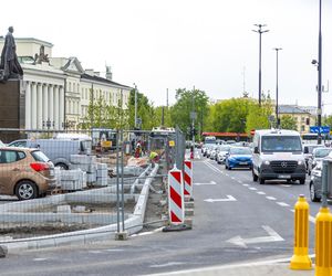 Sadzenie zieleni na placu Bankowym w maju 2025 r.