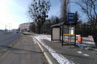 Przystanek-widmo straszy w Toruniu od trzech lat