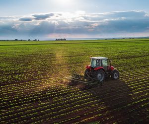 Przyszłość rolnictwa na największych targach w Polsce