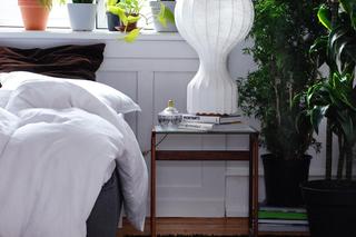 Sansewieria gwinejska