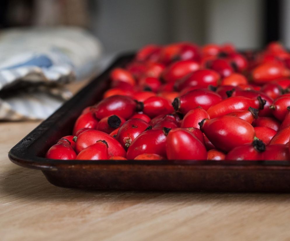 Dzika róża ma tyle witaminy C, że nie podskoczy jej żaden cytrus. Przełom sierpnia i września to zwykle najlepszy czas na przetwory