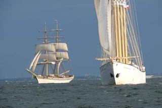 ParadaZagleGdyni2014_FotMZwierz_710274