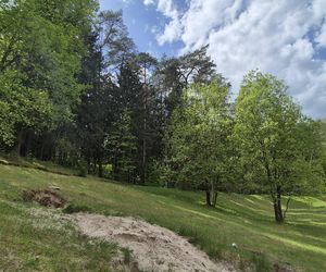 Stadion Leśny w Olsztynie dawniej i dziś. To tam bito rekordy świata w lekkiej atletyce