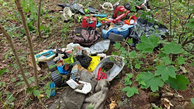 Zgroza w lesie pod Świeciem! Martwy pies w worku foliowym ze związanymi łapami. Policja szuka sprawcy bestialskiego czynu