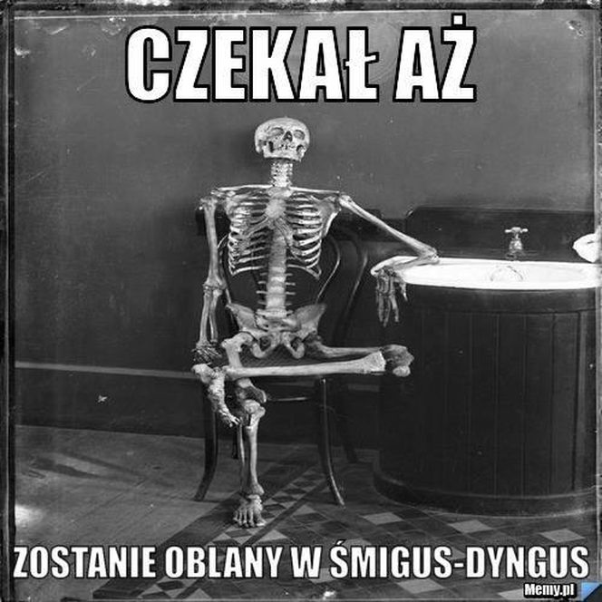 memy lany poniedziałek