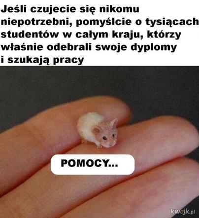 17 listopada. Dzień Studenta. Zobacz najśmieszniejsze MEMY!