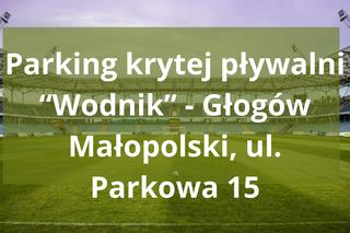  Tutaj powstaną Strefy Kibica Euro 2024 na Podkarpaciu 