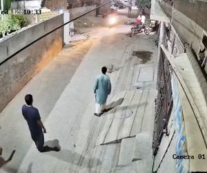 Lew rzucił się na dzieci i kobietę pośrodku ulicy! Oto, co stało się potem