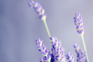 Naturalne olejki eteryczne