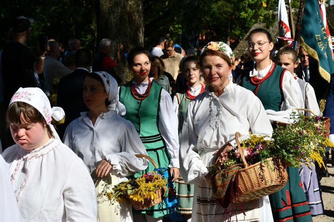Tłumy na dożynkach w Olsztynku. Zobacz, jak wyglądało tegoroczne święto plonów