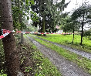 Zabójstwo pod Iławą