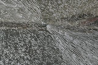 Ostrzelali autobus na Ursusie. Mogli trafić w pasażerkę