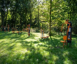 Zabytkowy park pod Lubawą zmienił się nie do poznania. Teraz wygląda jak z bajki