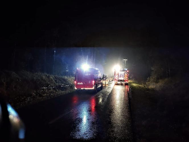 Tragiczny wypadek pod Świeciem. Auto 31-latka stanęło w płomieniach! Mężczyzna nie miał szans