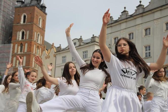 14. Róża dla Jezusa Miłosiernego na Rynku Głównym w Krakowie