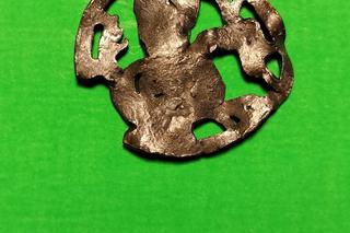 Unikatowe odkrycie w woj. lubelskim! Znaleziono średniowieczną odznakę… z bazyliszkiem