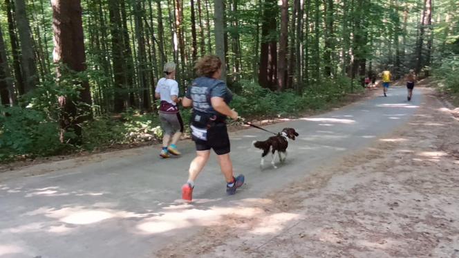 Bieg i marsz nordic walking o Puchar Miejskiej Góry