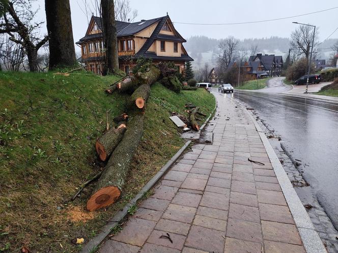 Tragedia w Zakopanem. Basia zginęła, jej pies przeżył