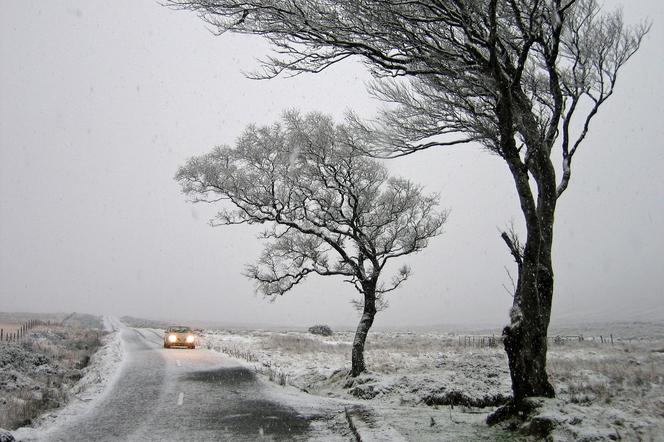 Deszcz, śnieg, mróz i wichury nawet 130 km/! Synoptycy wydali alerty [Prognoza IMGW na 5.01.2023]
