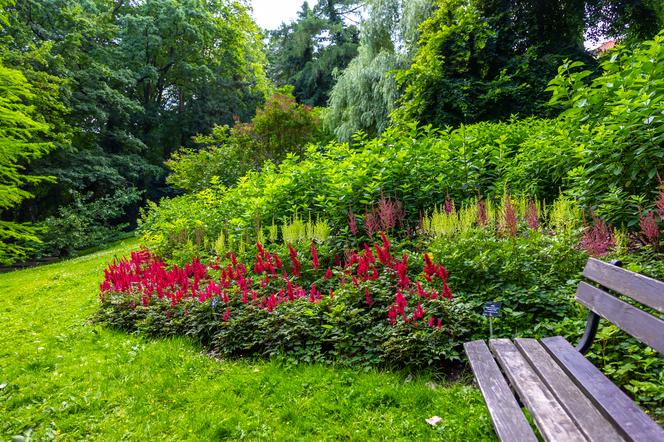 7 najładniejszych ogrodów botanicznych w Polsce. Kiedy je odwiedzić i gdzie są?