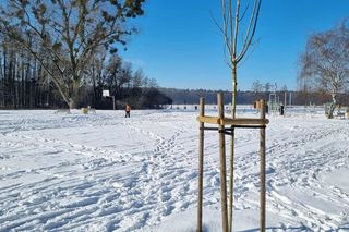 Jezioro Strzeszyńskie w śniegu - luty 2025