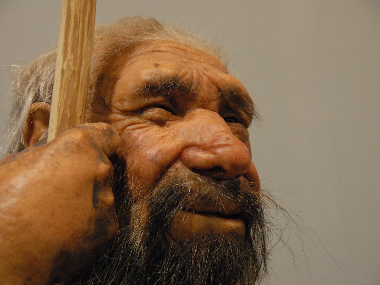 Mazowsze: archeolodzy odkryli narzędzia neandertalczyków! Zobaczcie, jak wyglądają