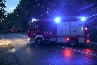 Ulewne deszcze na Podkarpaciu. Połamane drzewa na ulicach Dębicy