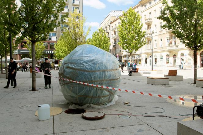 Instalacja artystyczna "Pisklę" podczas montażu