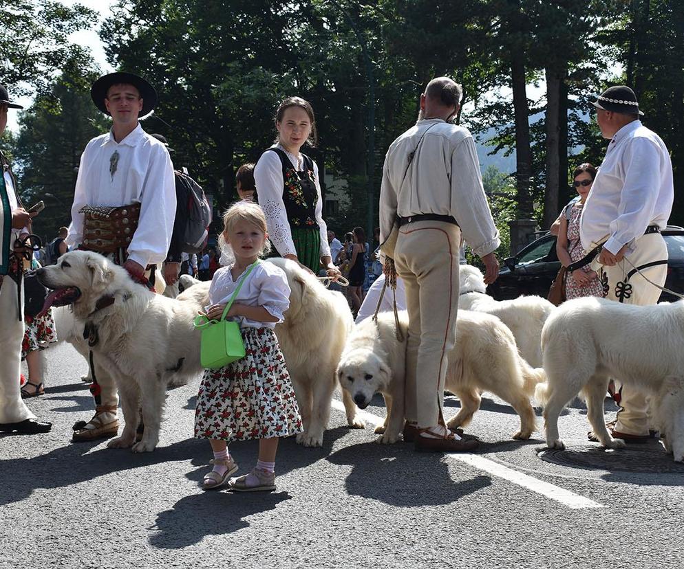 54. Międzynarodowy Festiwal Folkloru Ziem Górskich