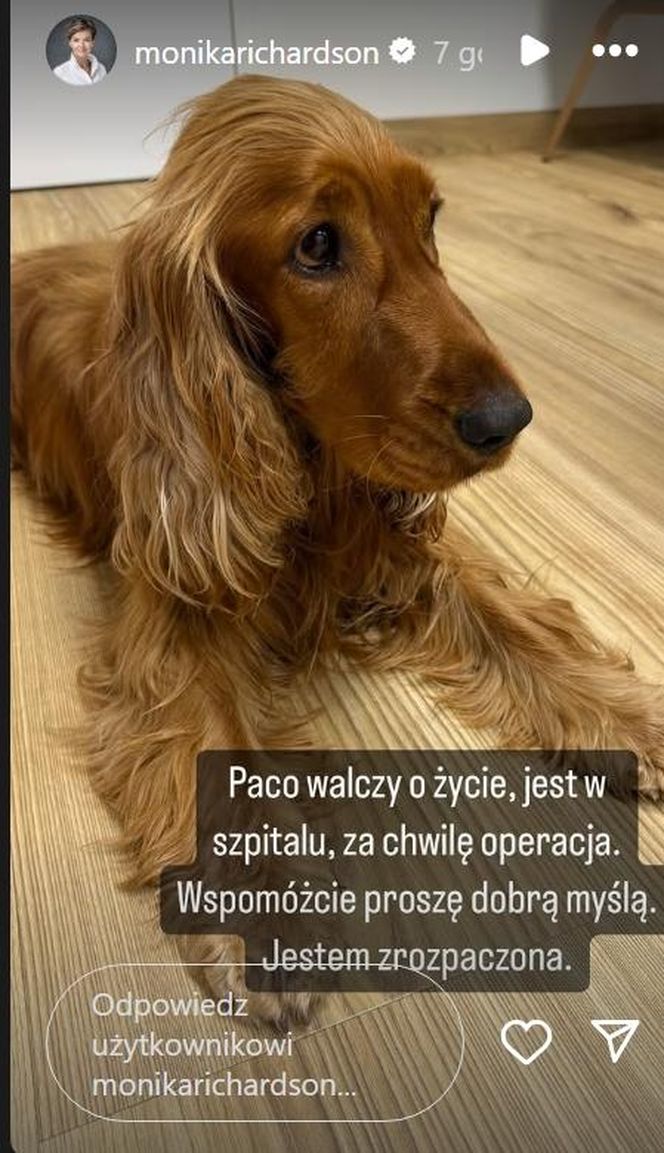 Paco, pies Moniki Richardson