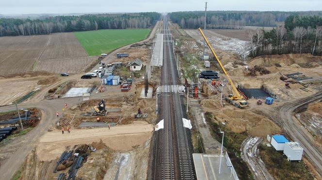 Rail Baltica w woj. podlaskim. Prace idą pełną parą. PKP pokazało zdjęcia