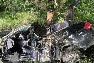 Śmiertelny wypadek pod Kołobrzegiem. Kierowca osobówki uderzył w drzewo