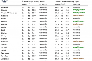 Kiedy spadnie pierwszy śnieg w 2022 roku? IMGW podał długoterminową prognozę na zimę 