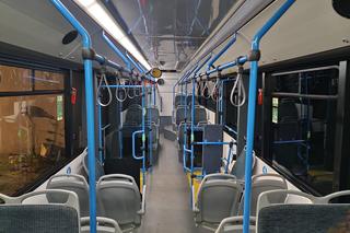 Wrocławscy pasażerowie mogą spotkać m.in. przy pl. Dominikańskim, al. Kromera i na Psim Polu