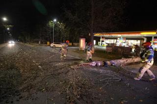 Małopolska: wieje silny wiatr, który łamie gałęzie i drzewa. IMGW ostrzega: zagrożenie dla zdrowia i życia