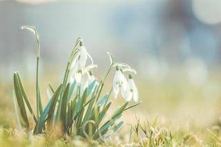 Nagłe załamanie pogody. Nocą minusowe temperatury. W dzień niewiele więcej